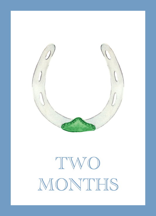 Baby Boy Milestone Cards