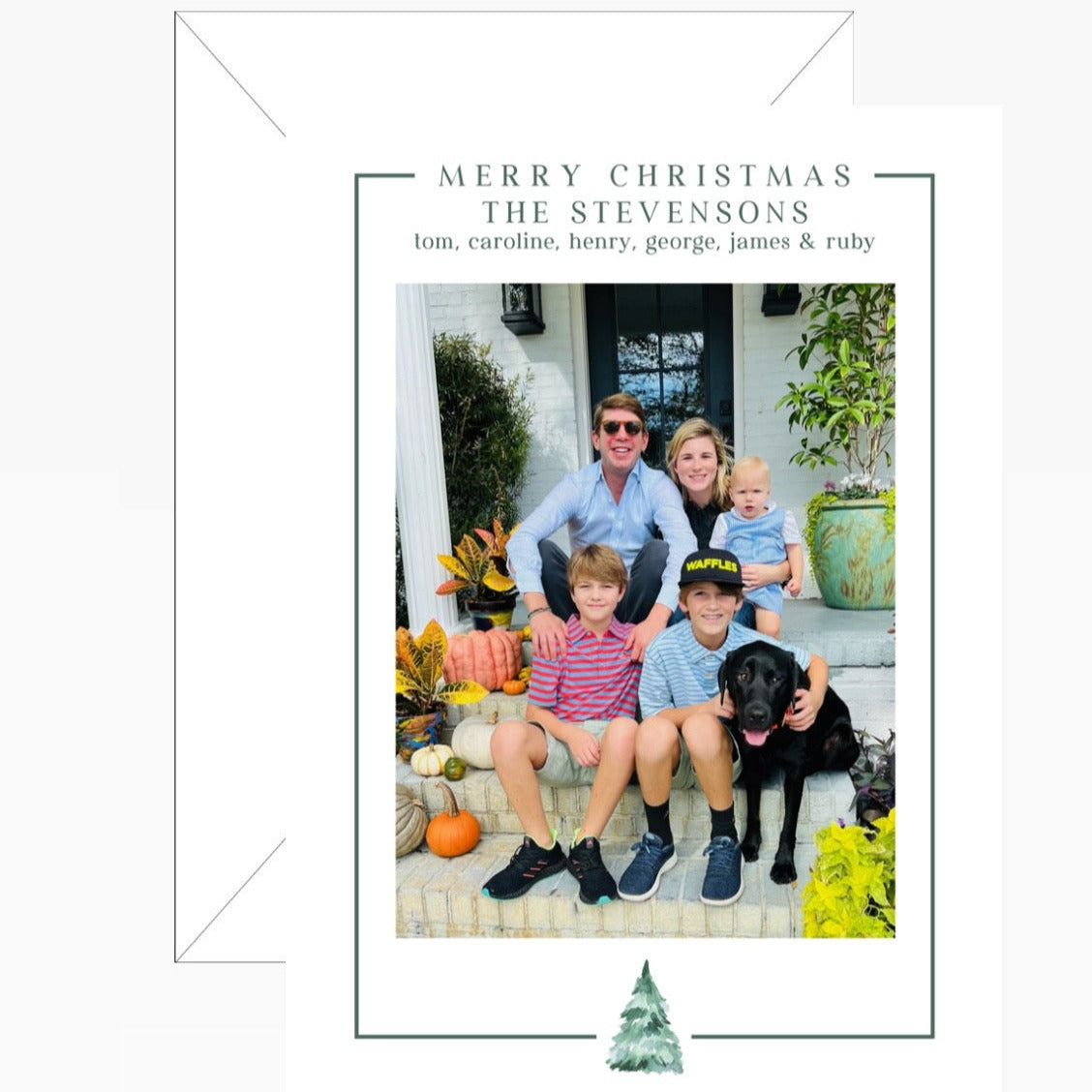 Green Border Holiday Card
