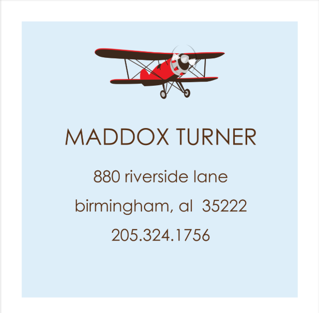 Business card with a red airplane illustration on a light blue background