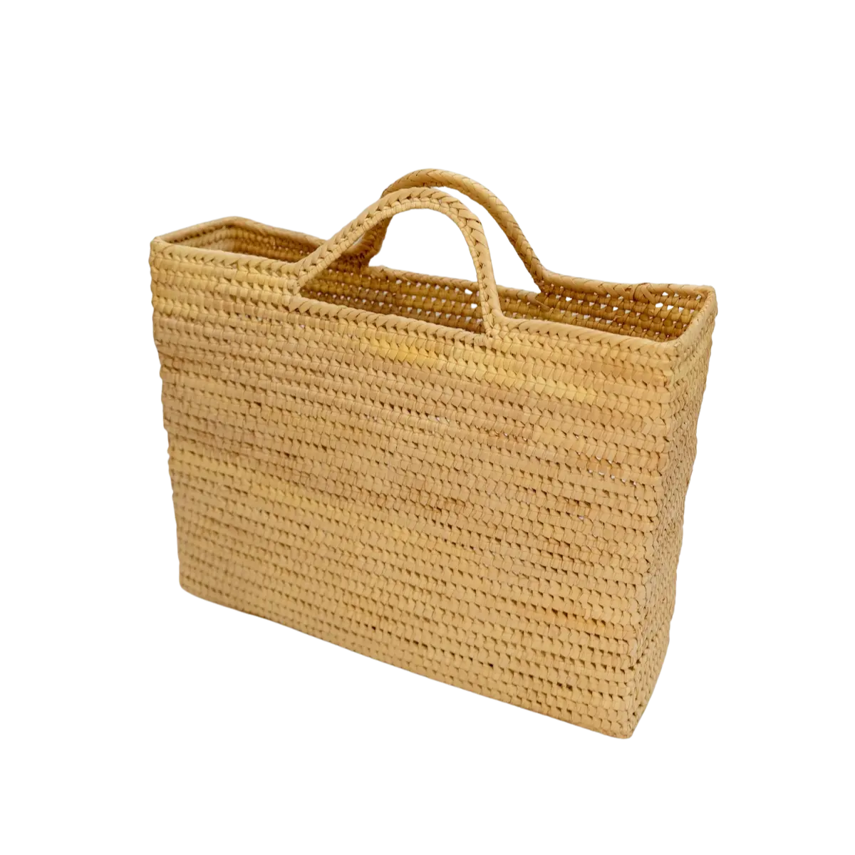 Everything Tote