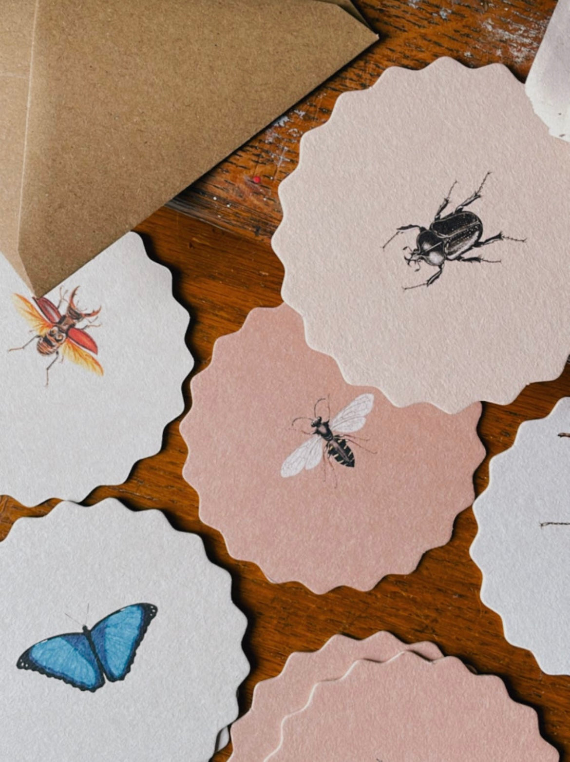 Coaster Set Insects