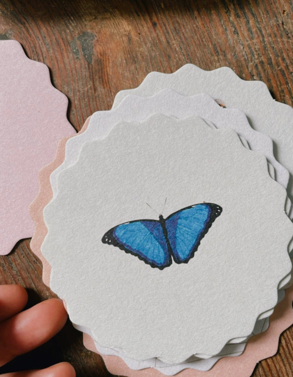 Coaster Set Insects