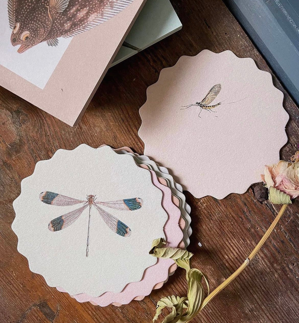 Coaster Set Insects