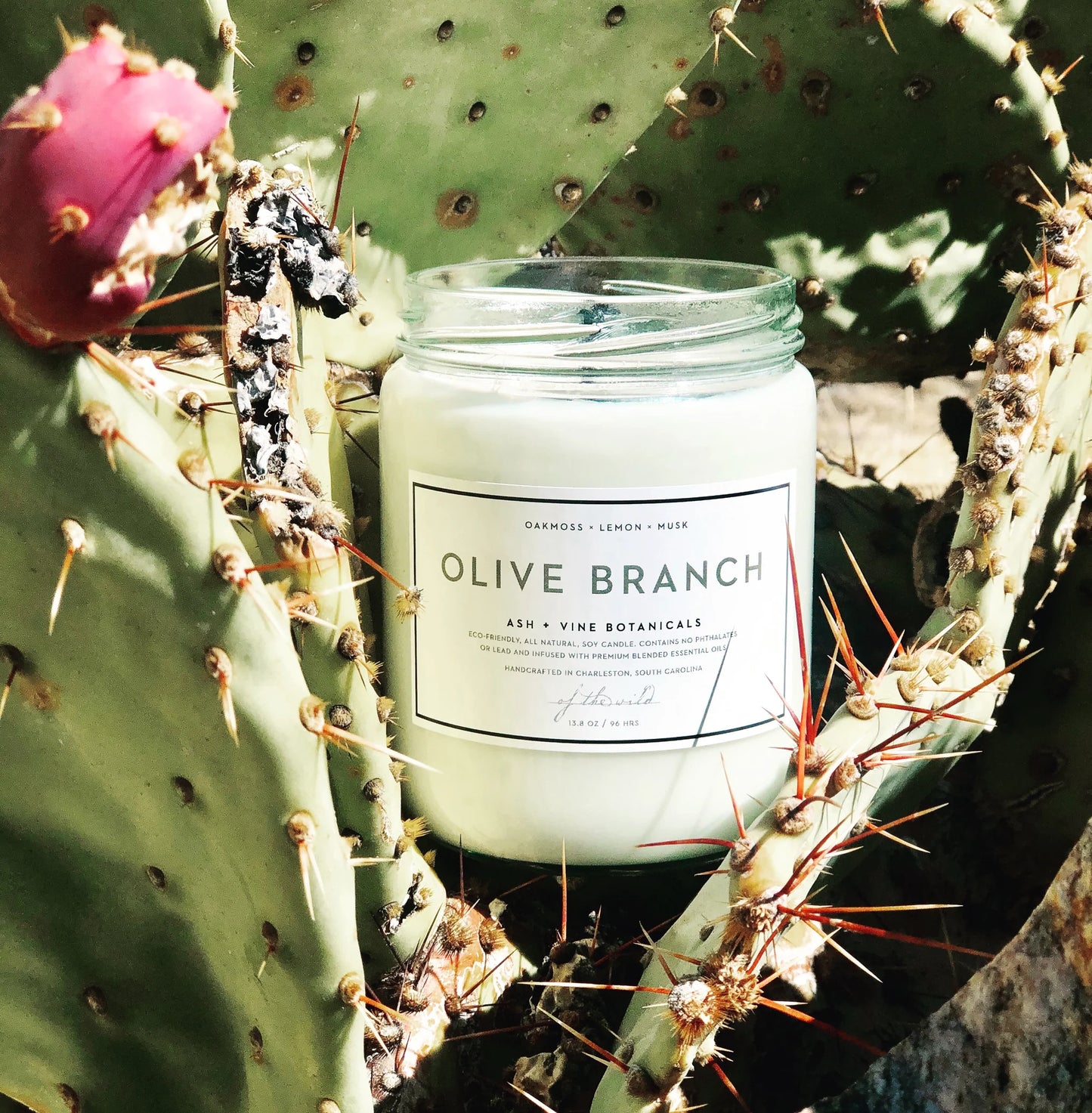 Olive Branch Candle