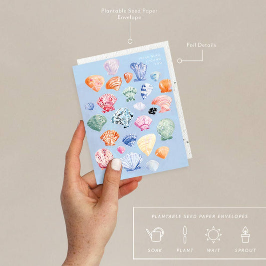 Shells Love + Friendship Card