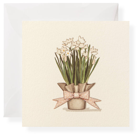 Karen Adams Paperwhites  Enclosure