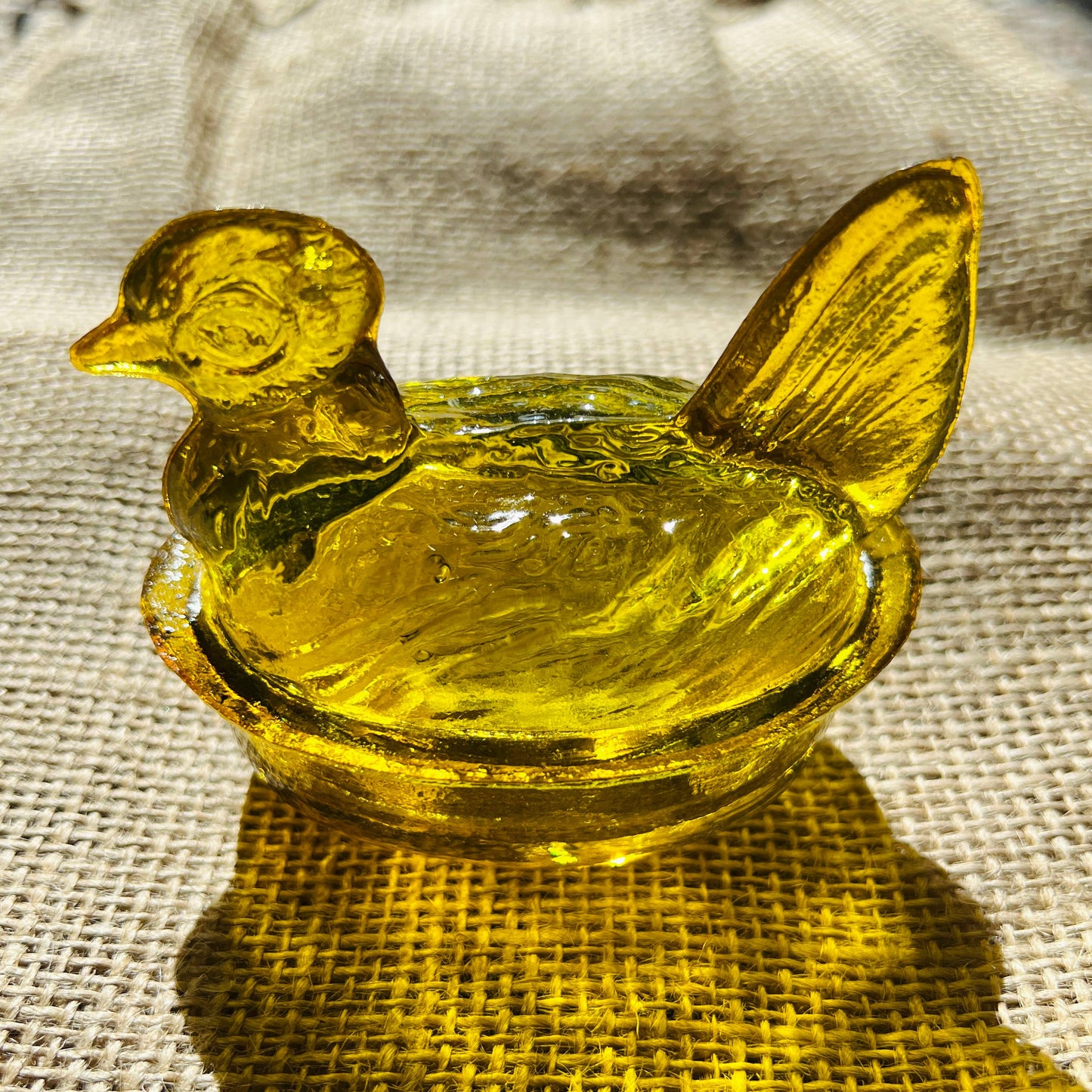 Nesting Hen Bowl - HONEY YELLOW | Hand Blown Glass