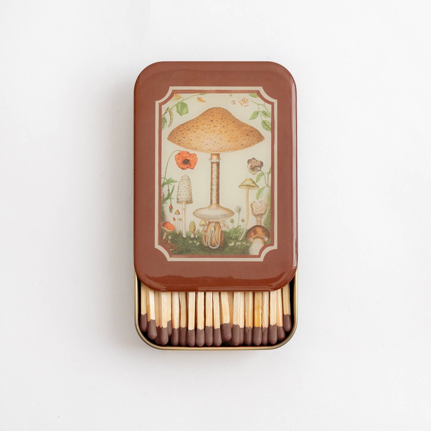 Fungi - Matches in Tin