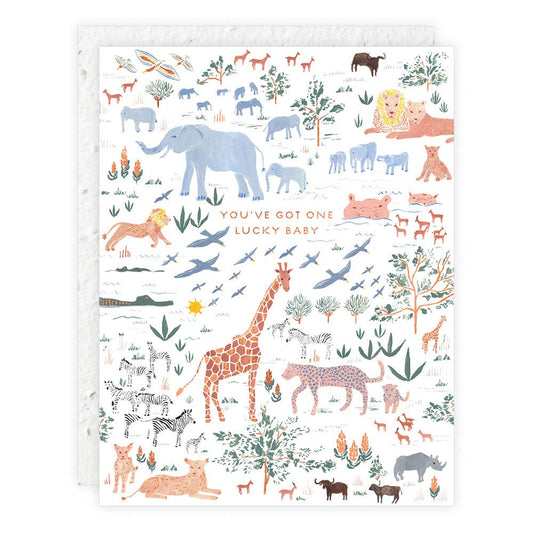 Illustration of various animals and text on a white background