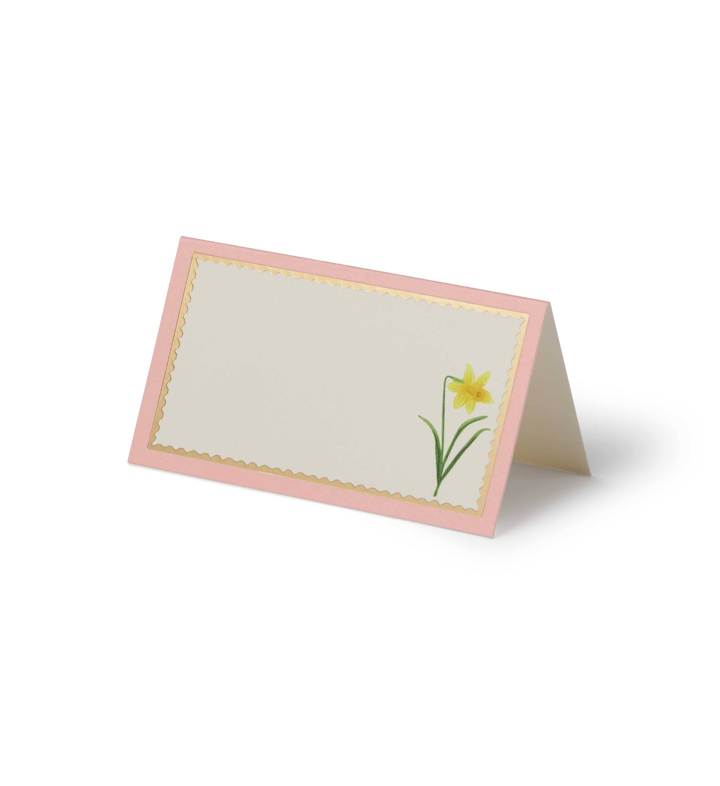 Rifle Paper Co. - Garden Study Place Cards
