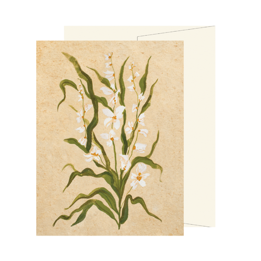 White Wildflower Card