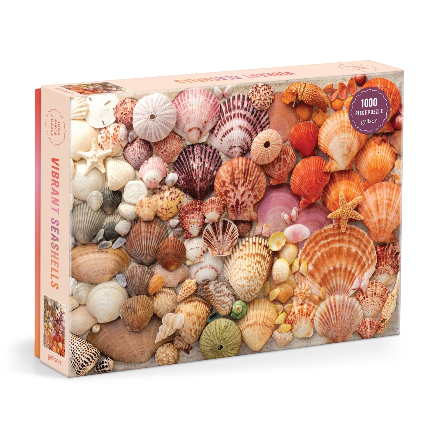Jigsaw puzzle box with colorful seashells and starfish design on a white background