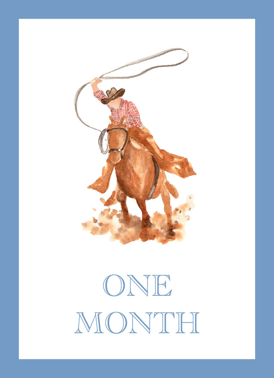 Baby Boy Milestone Cards