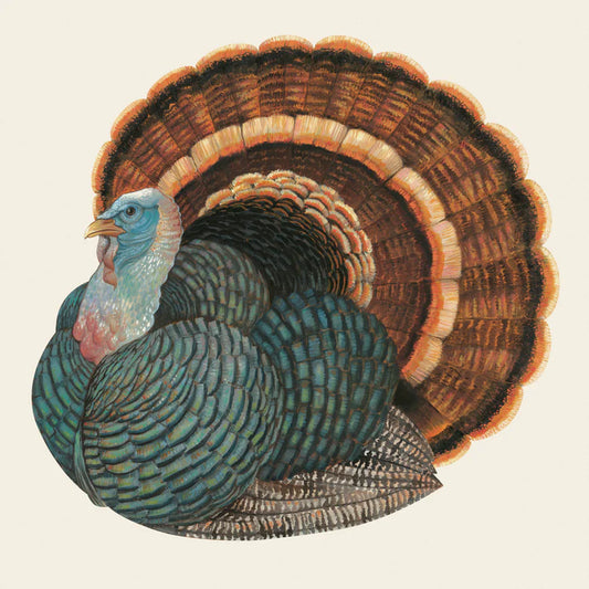 Heritage Turkey Cocktail Napkin - pack  of 20