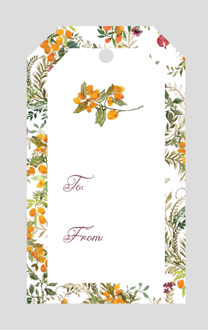Citrus Noel Gift Tags