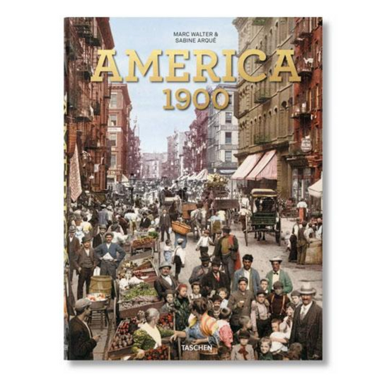 America 1900 Book