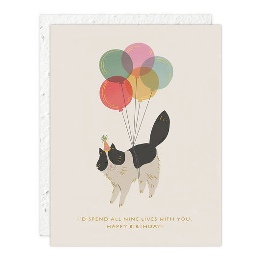 Birthday Kitty Birthday Card