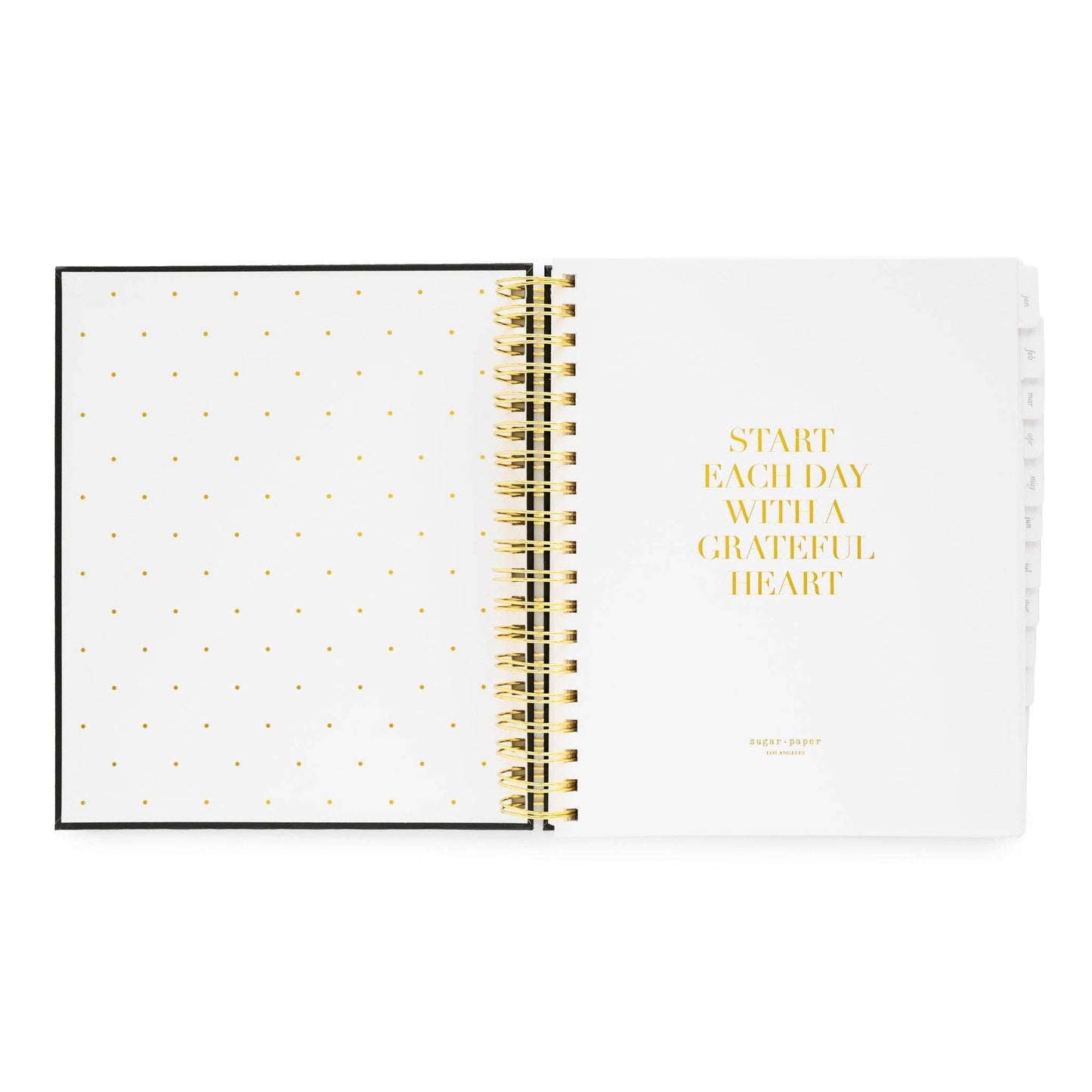 2026 Blush Daily Spiral Planner