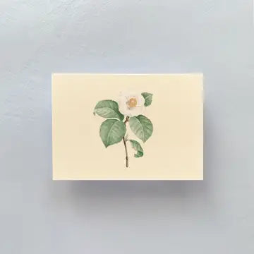 Camellia Mini Notecard Set- Gloster Road