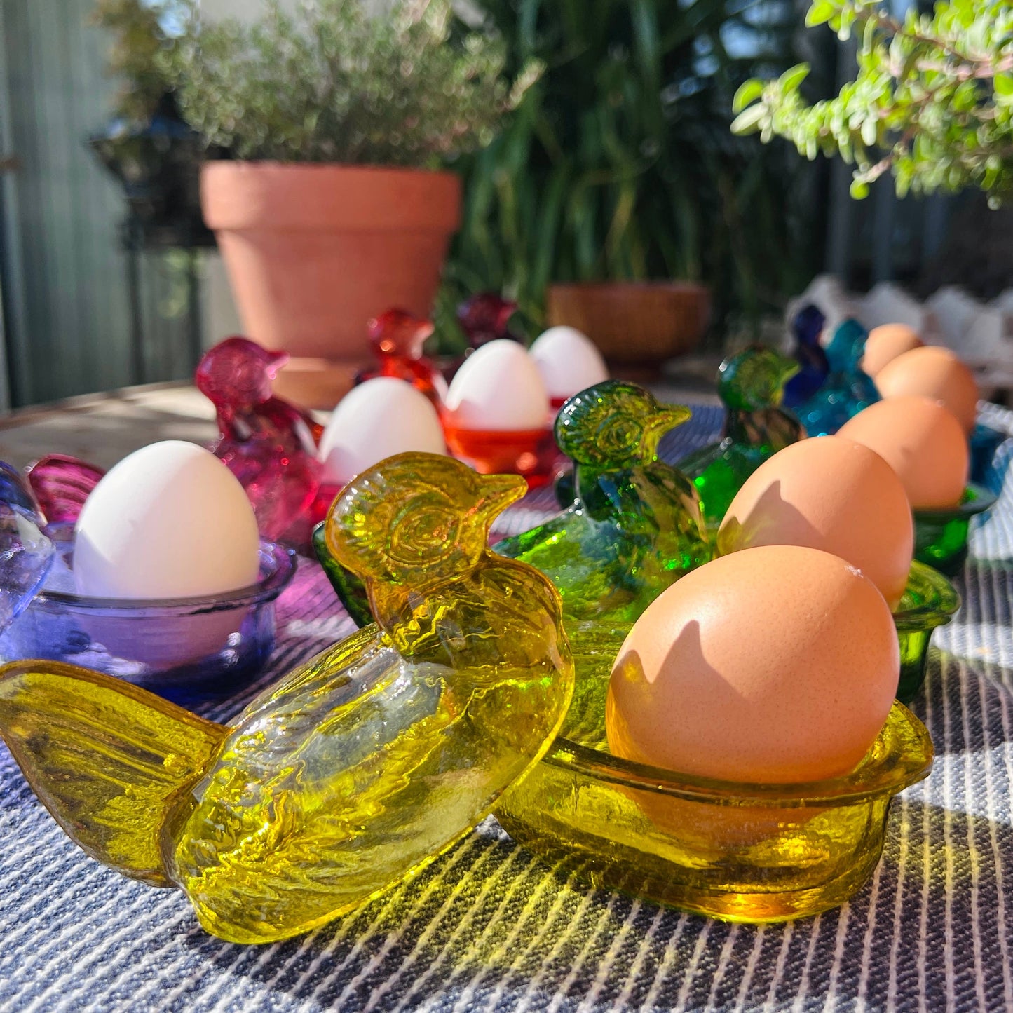 Nesting Hen Bowl - HONEY YELLOW | Hand Blown Glass