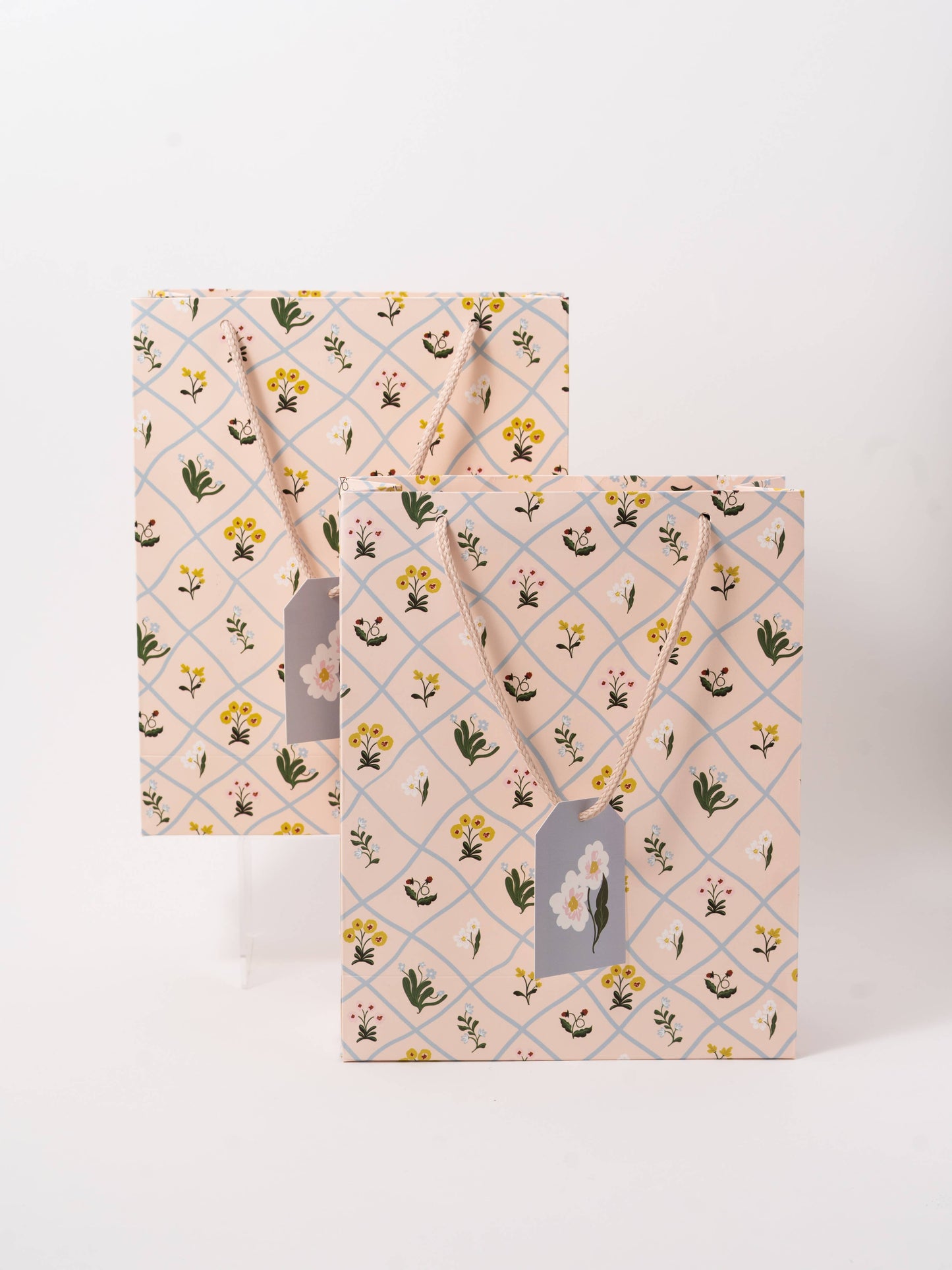 One & Only Paper - Trellis Medium Paper Gift Bag