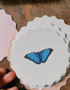 Coaster Set Insects