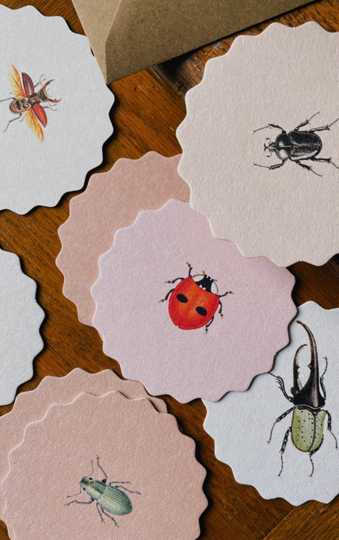 Coaster Set Insects