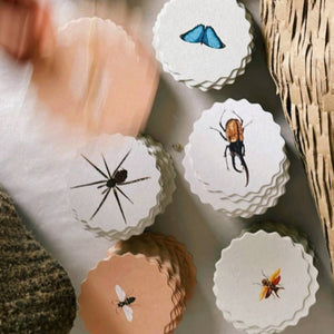 Coaster Set Insects