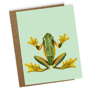 Frog Mini Card